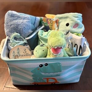 Dinosaur Themed Baby Shower Gift Basket